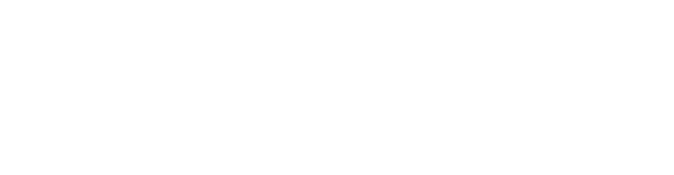 SPEAKWRITE